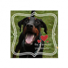 Κάρτα για το Κατοικίδιο σας